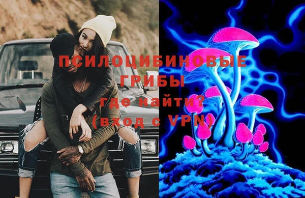 спайс Алзамай