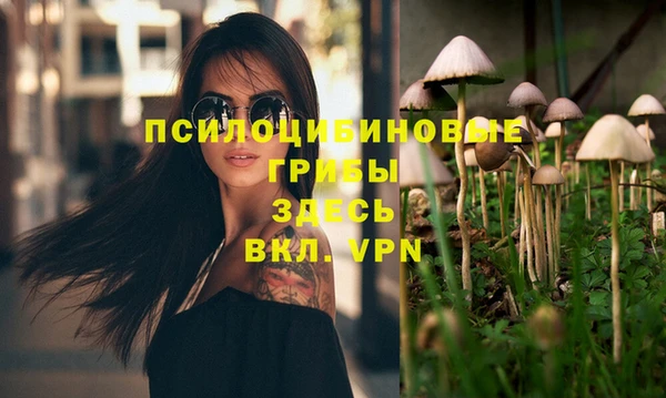 хмурый Алексеевка