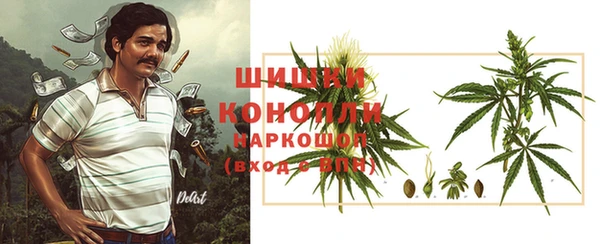 спайс Алзамай